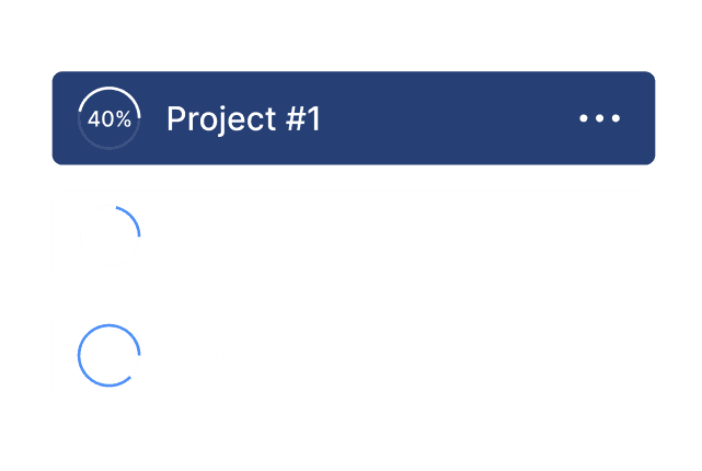 Project organization interface